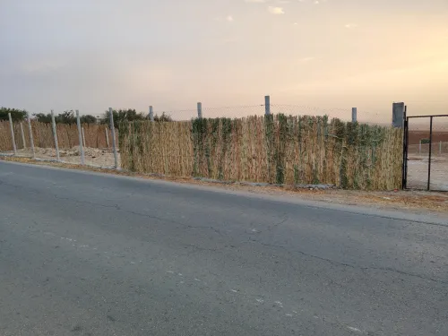 Vente Terrain Agricole Tlemcen Chetouane