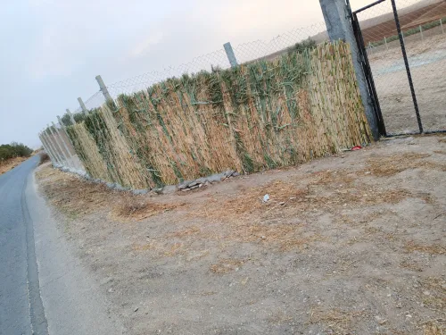 Vente Terrain Agricole Tlemcen Chetouane