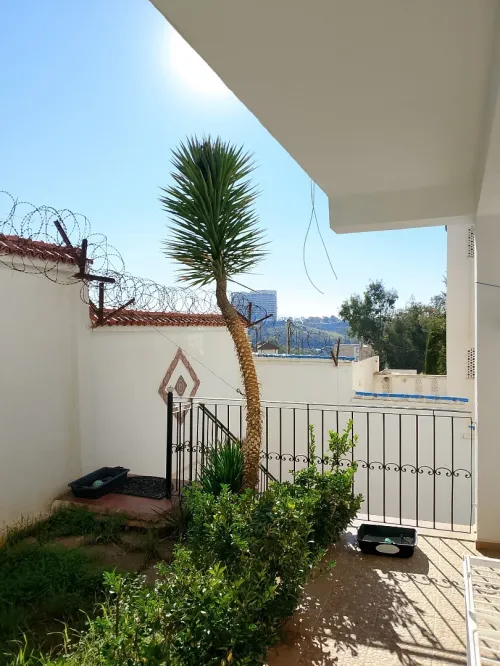 Location Villa Alger Dely brahim