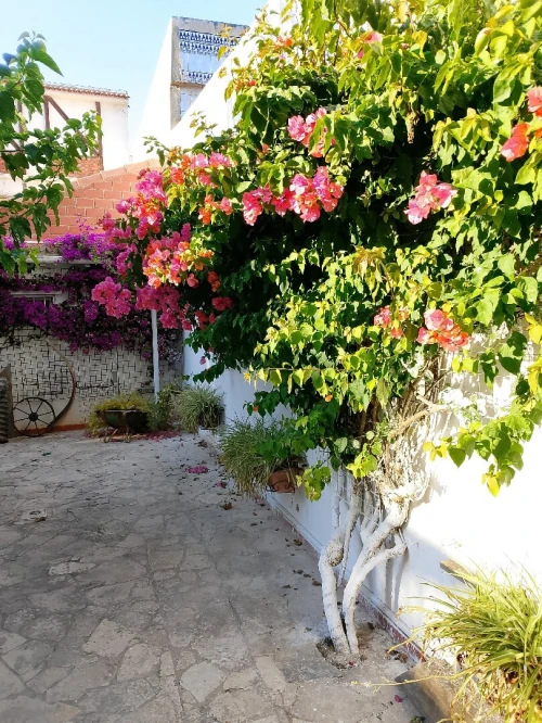 Vente Villa Alger Ain taya