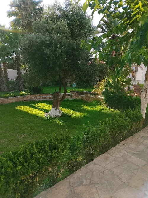 Vente Villa Alger Ain taya
