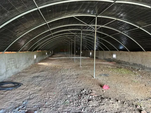 Location Hangar - Usine Djelfa Ain oussara