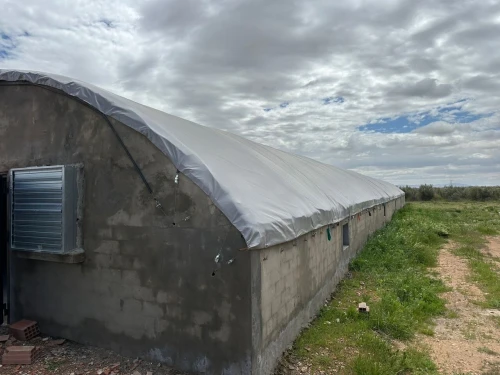 Location Hangar - Usine Djelfa Ain oussara