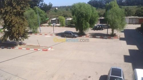 Vente Appartement F5 Blida Boufarik