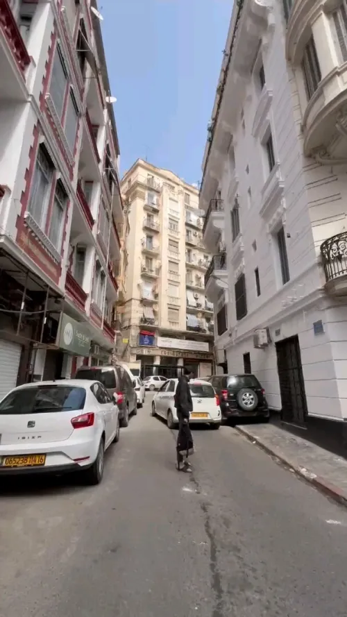 Vente Local Alger Alger centre