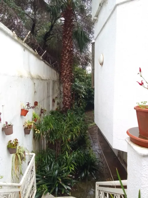 Location Villa Alger Hydra
