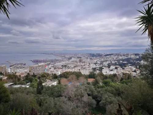 Location Appartement Niveau de villa F3 Alger El biar