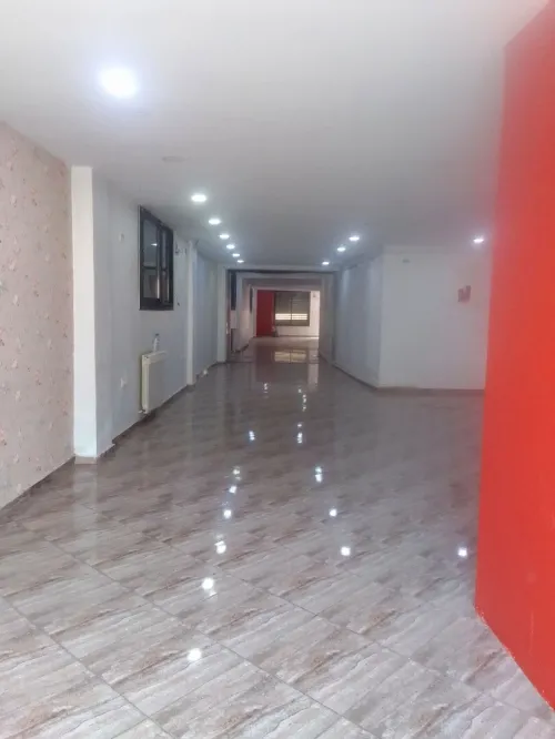 Location Local Alger Said hamdine