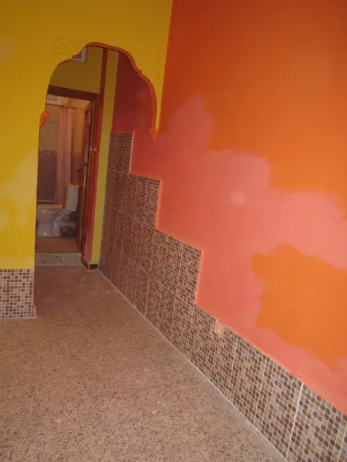 Location Appartement Studio Alger Draria