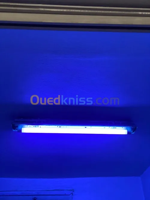 Fluorescent Tube (Ultra violet) T8