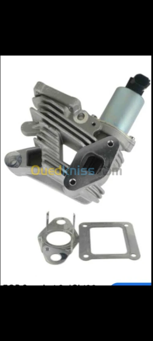 Vannes recyclage egr scenic 2 1.9dci