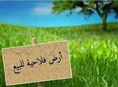 Vente Terrain Agricole Blida Mouzaia