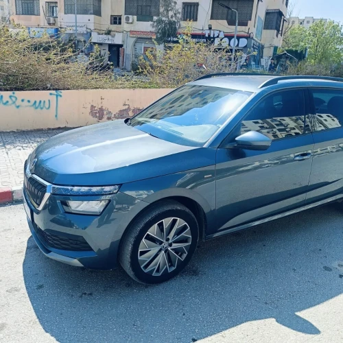 Skoda Kamiq 2021 Selver