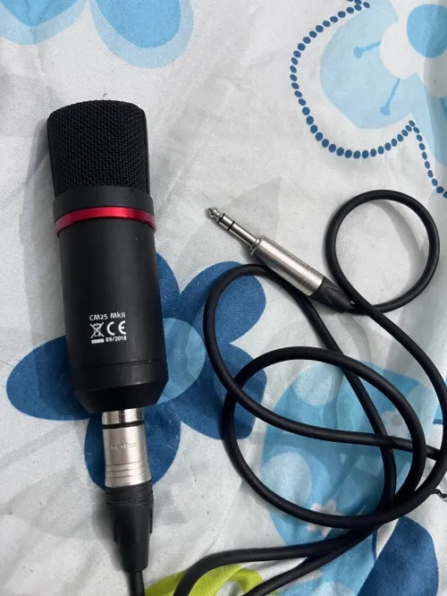Micro Scarlett Studio + Micro Boya + Micro Rode
