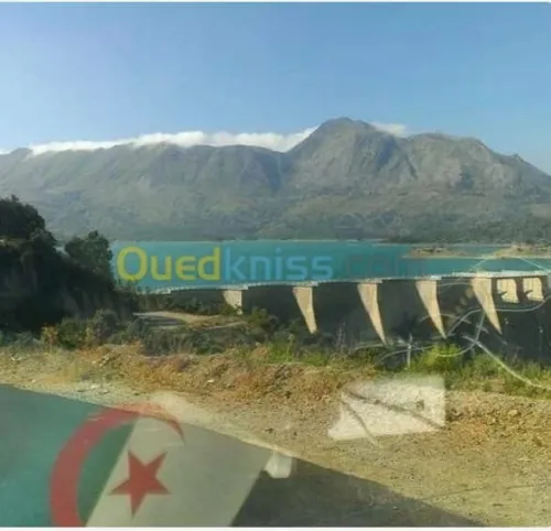 نقل البضائع عبر ترب الوطني و دول المجاور موريتانيا وتونس 40طن 