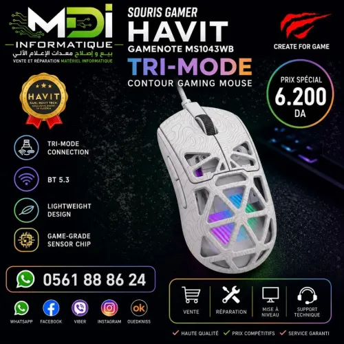 SOURIS HAVIT GAMENOTE MS1043WB
