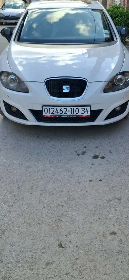Seat Leon 2010 Leon