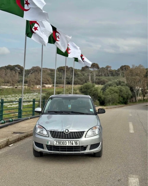 Skoda Fabia 2014 Visage