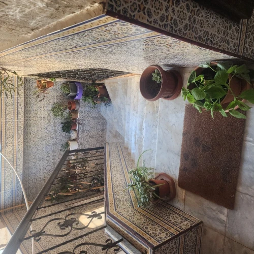Location Villa Alger Ouled fayet