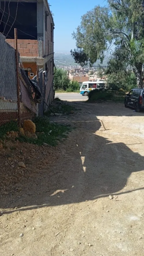 Vente Terrain Blida Meftah