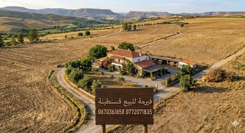 Vente Terrain Agricole Constantine Constantine