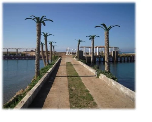 Location Appartement F2 Alger Bordj el bahri