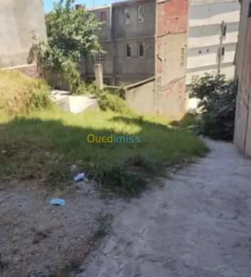 Vente Terrain Jijel Jijel