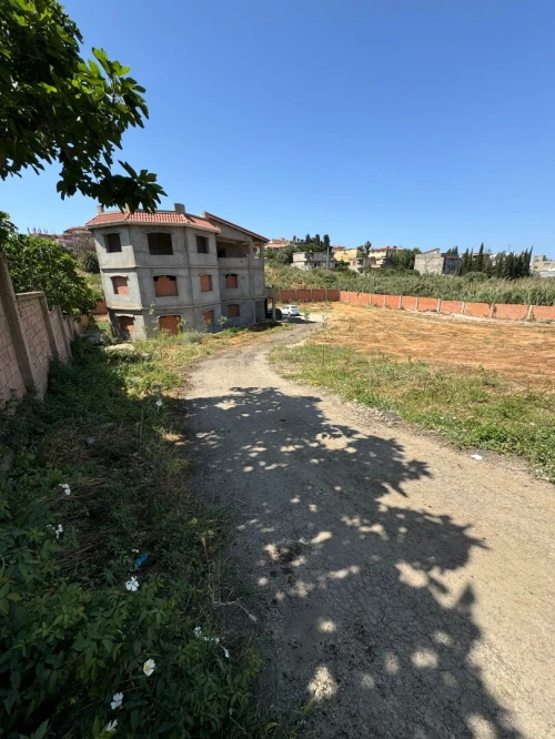 Location Terrain Alger Saoula
