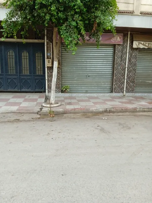 Location Local Blida Bougara