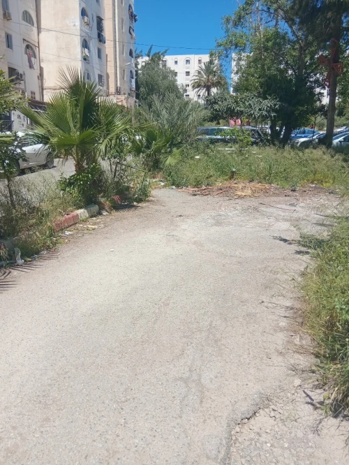 Vente Local Alger Ain naadja