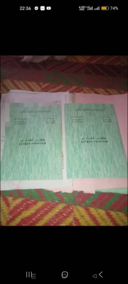 Vente Terrain Agricole Saïda Saida