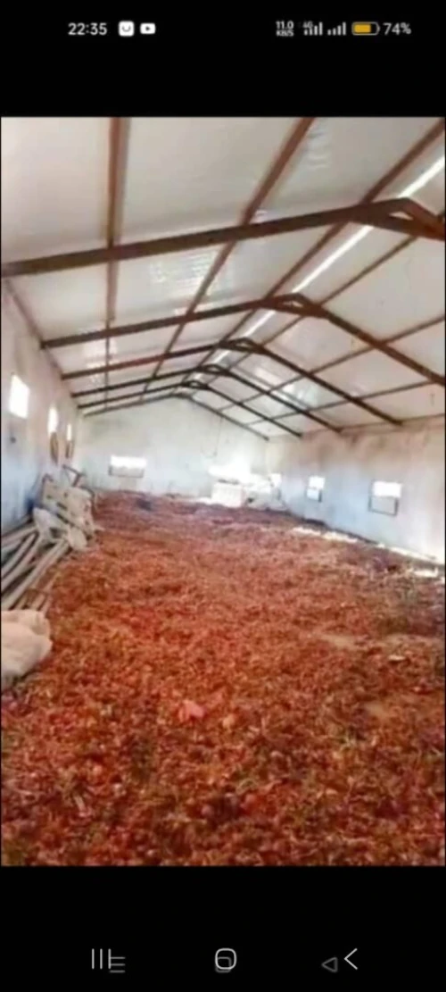 Vente Terrain Agricole Saïda Saida