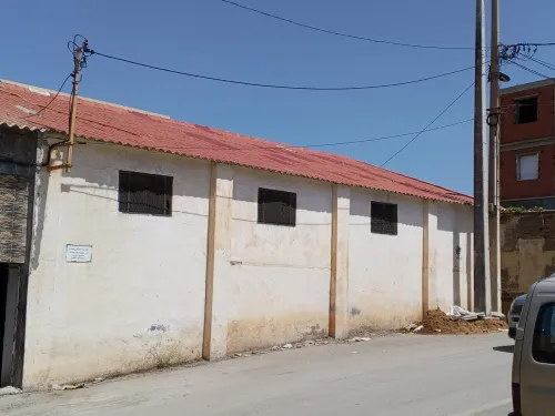 Location Hangar - Usine Tipaza Bou ismail