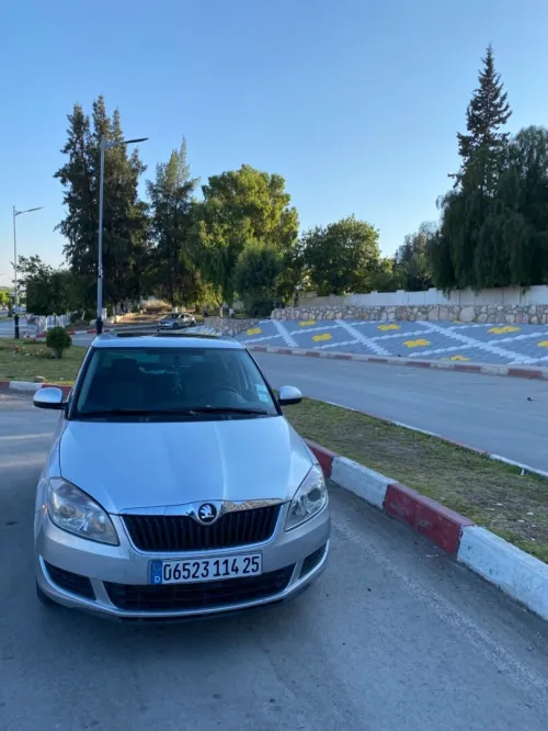 Skoda Fabia 2014 Visage