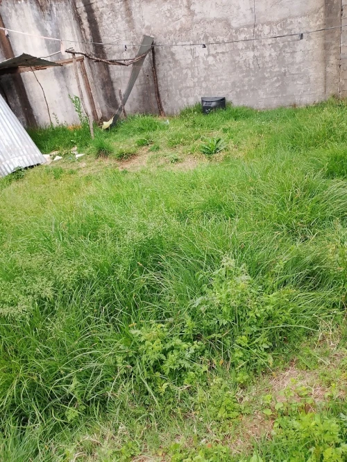 Vente Villa Jijel Djemaa beni habibi