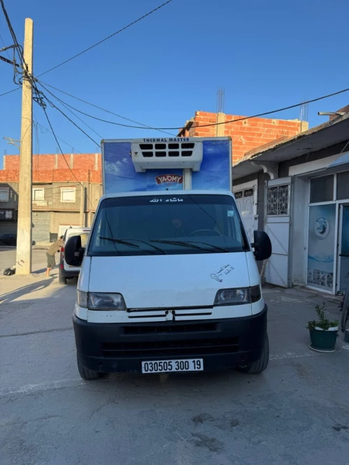 Boxer frigo Boxer frigo 2000