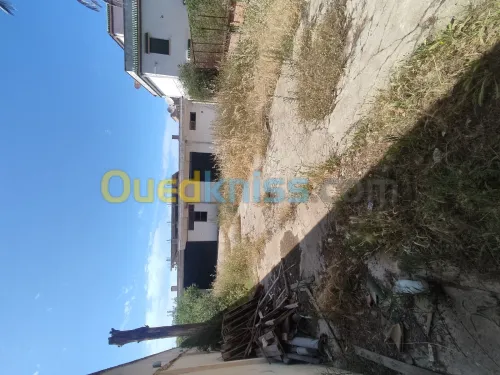 Vente Terrain Alger Cheraga