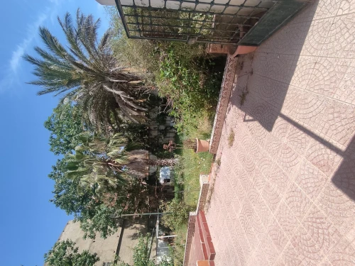 Vente Terrain Alger Cheraga