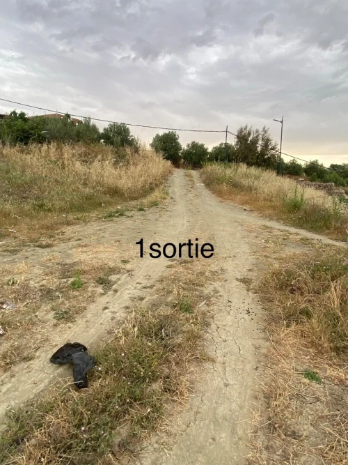 Vente Terrain Boumerdès Larbatache