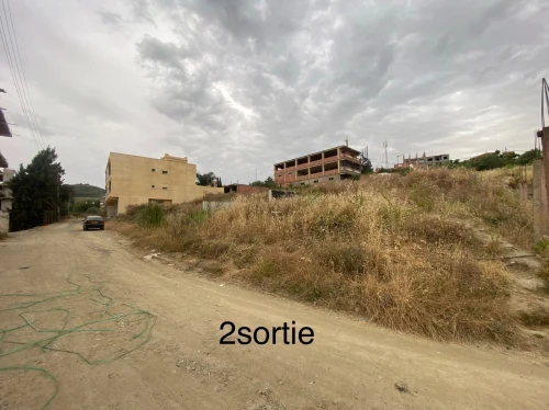 Vente Terrain Boumerdès Larbatache