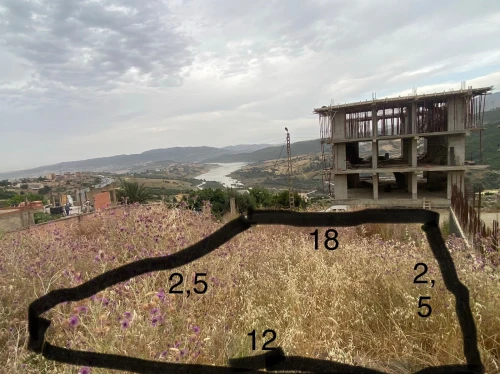 Vente Terrain Boumerdès Larbatache