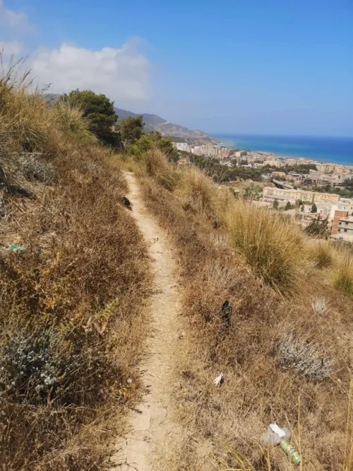 Vente Terrain Tipaza Gouraya