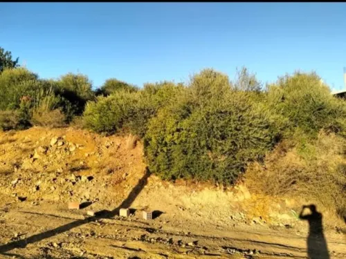 Vente Terrain Bouira Lakhdaria