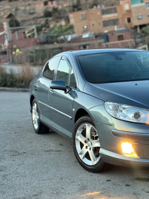 Peugeot 407 2008 407