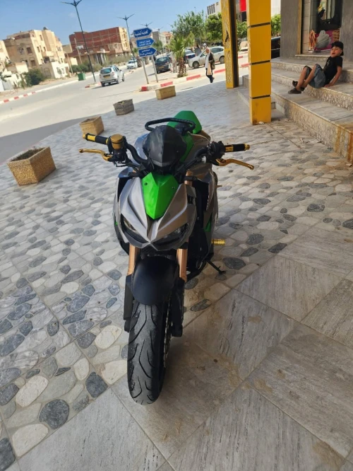 Z1000 Robo 2017