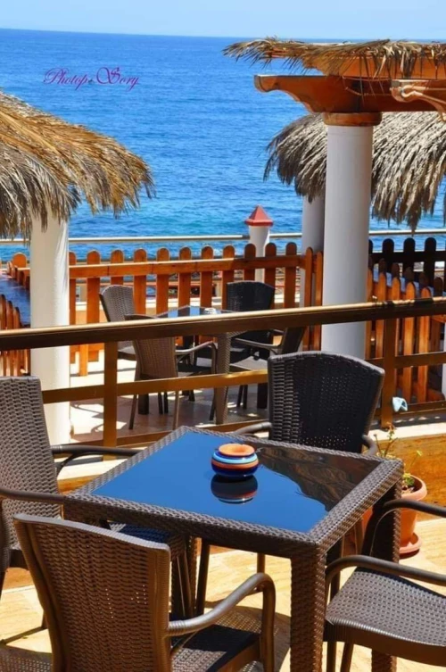Vente bien immobilier Oran Oran