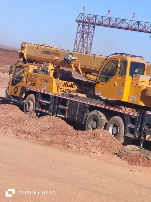 LOCATION GRUE MOBILE  30 T
