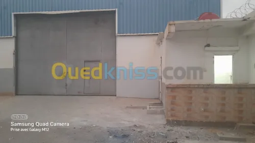 Location Hangar - Usine Boumerdès Ouled hedadj