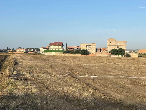 Vente Terrain Boumerdès Ouled moussa