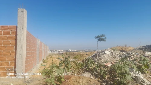 Vente Terrain Alger Ouled fayet